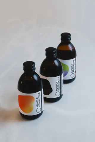 Kombucha Gengibre