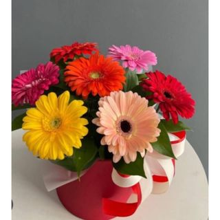 გერბერები ბოქსში