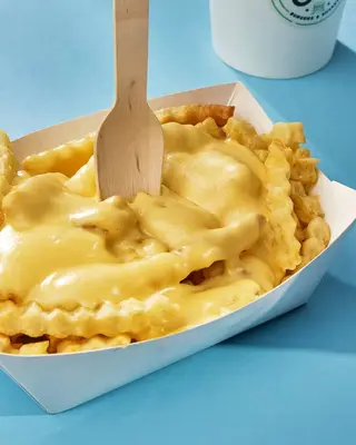 Cheese Fries