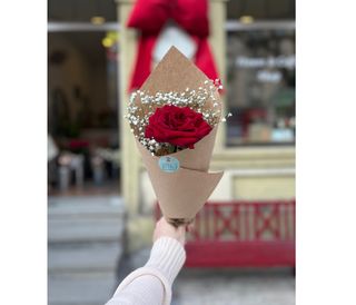 წითელი ვარდი