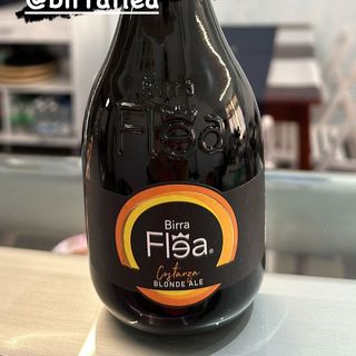  Flea blonde ale bot. 33cl 