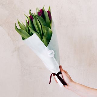 Ramo de tulipanes violetas. 8 tallos