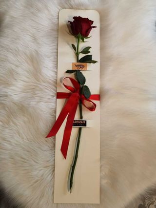 Trandafir Artizan rosu A