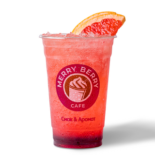 Фріз-Грейпфрут (500мл)