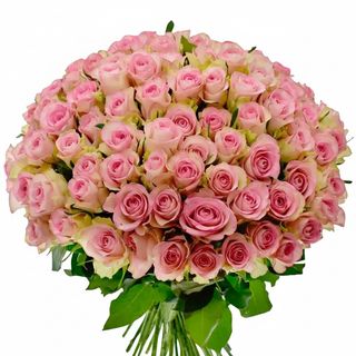 101 троянда Lovely Jewel (Кенія)