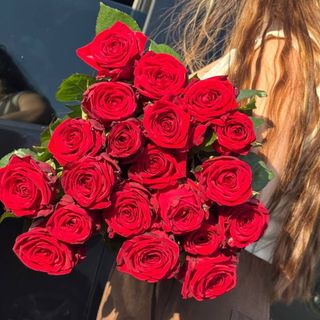 Троянда Престиж, 60см