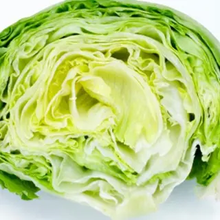 Lechuga