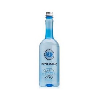 Agua Fontecelta (33 Cl.)
