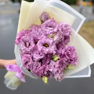 9 eustome lavanda