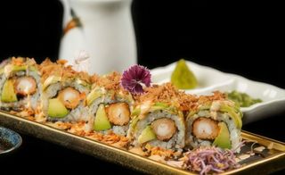 111. Ebi Dragón (8 Uds.)