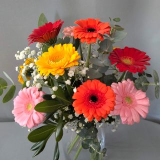 Ramo gerberas variadas