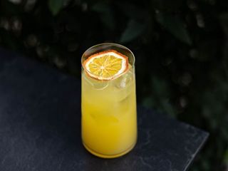 Лимонад цитрусовий (330ml)