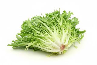 Scarola riccia fascio