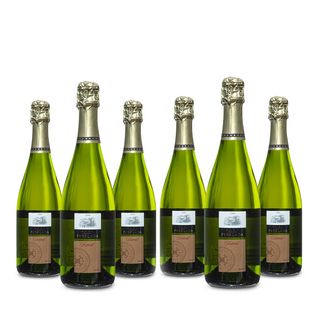 Pack 5 + 1 cava Perelada brut