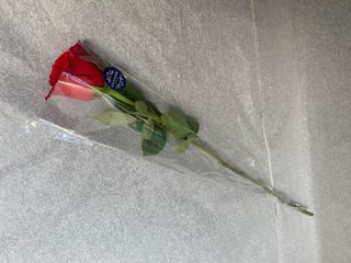 Rosa Simples Sem Arranjo