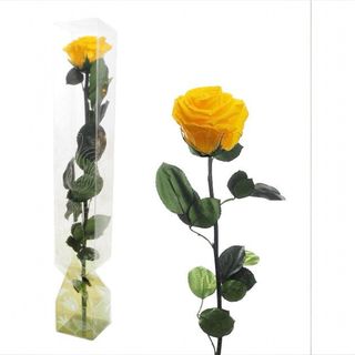 Rosa Eterna Amarilla Tallo Largo