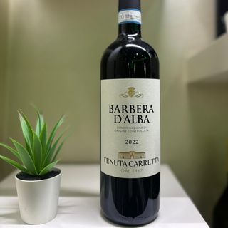Vino Barbera D’alba