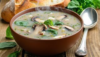 3. MUSHROOM PALAK SOUP