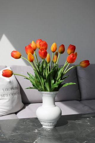 Tulipani naranđasti