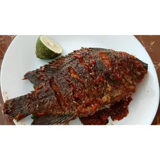 Grilled Nile perch