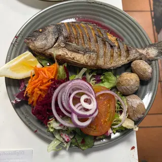 Pescado del día