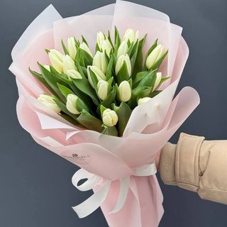 25 білих тюльпанів