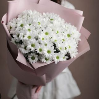 ქრიზანთემა N2