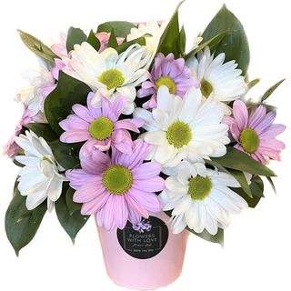 Аранжировка хризантеми бяло-розов микс