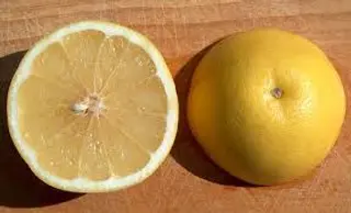 Pompelmi