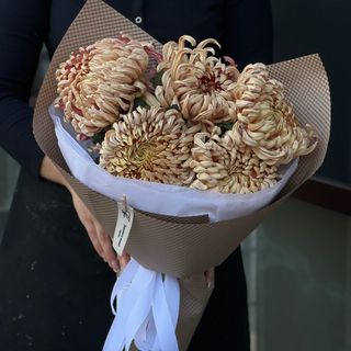 5 однобутонних хризантем 