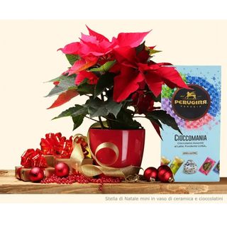 Mini stella con cioccolatini