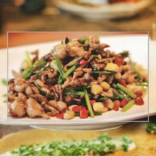 Pui de balta Gan Bian