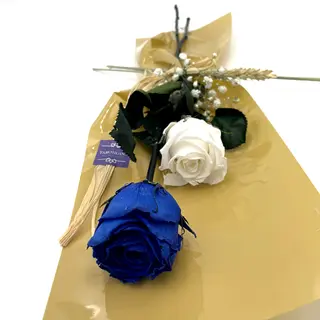 Dos Rosas Preservadas, Una Azul Y Una Blanca