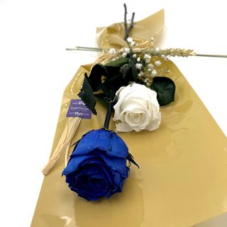 Dos Rosas Preservadas, Una Azul Y Una Blanca