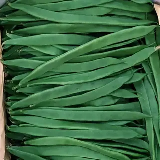Vainas 500 Gr