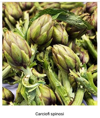 Carciofi spinosi sardegna - 1 pezzo