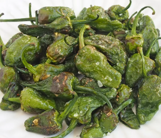 Pimientos fritos (ración individual)