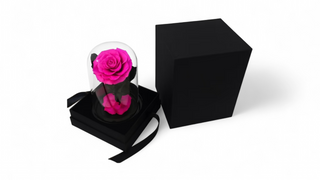 Dehidrirana ruža u staklenom zvonu