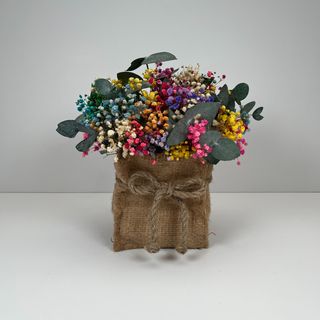 Bolsita Paniculata Rainbow