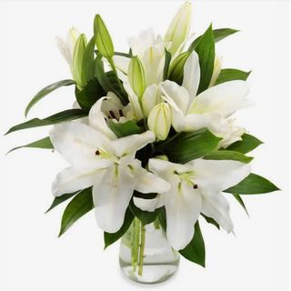 Bouquet De Lys Blanc - 5 Tiges