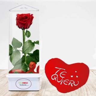 TRY ETERNA & PELUCHE 70R