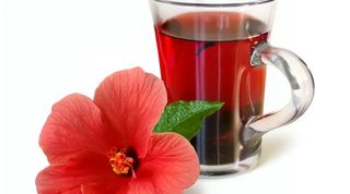 Hibiscus Tea