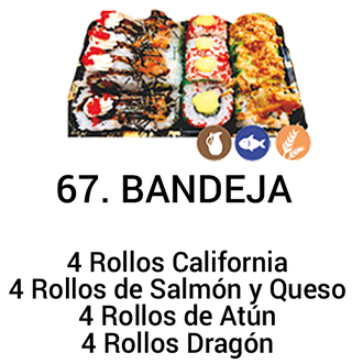 63. Bandeja (16 Uds.)