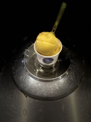 Sorbet Mangue Passion