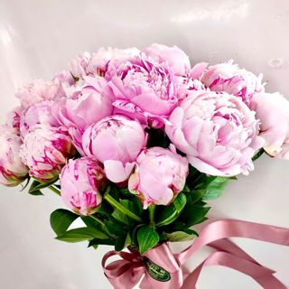 Peônias Cor de Rosa 