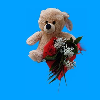 Rosa rossa con peluche in omaggio 