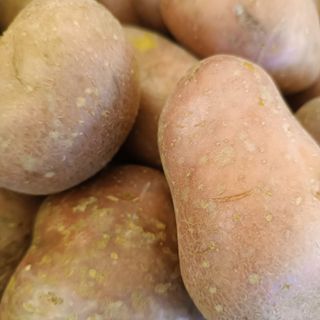 Patate rosse al kilo