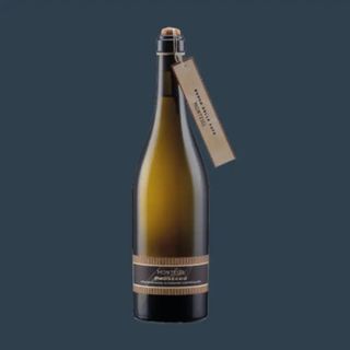 Montesel DOC Prosecco Frizzante Bosco delle Fate