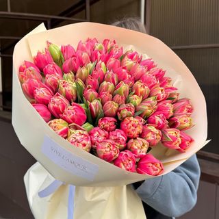 51 піоноподібний тюльпан 