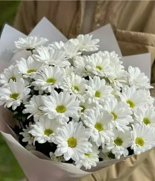 Bouquet Margarita